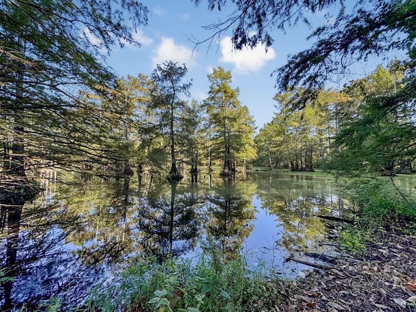 Duck Hunting Paradise for Sale in Ouachita Parish
