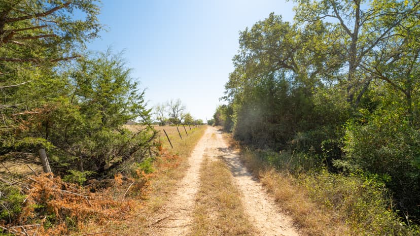 109 Acres in Burleson County