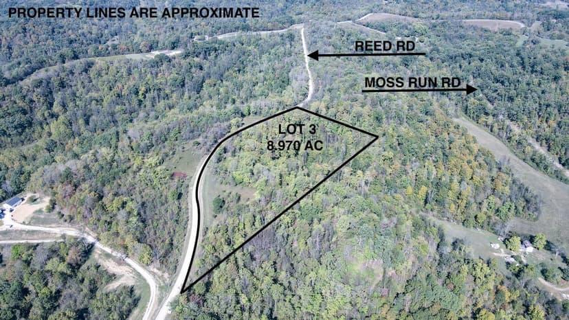 Moss Run Rd Lot 4 - 19 acres - Washington County