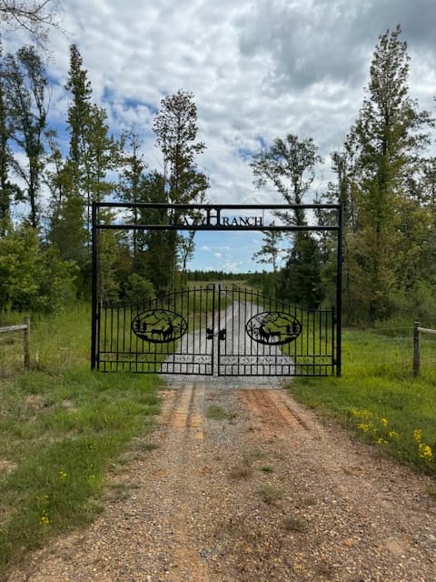 Dynamic Webster Parish Hunting and Recreational Property