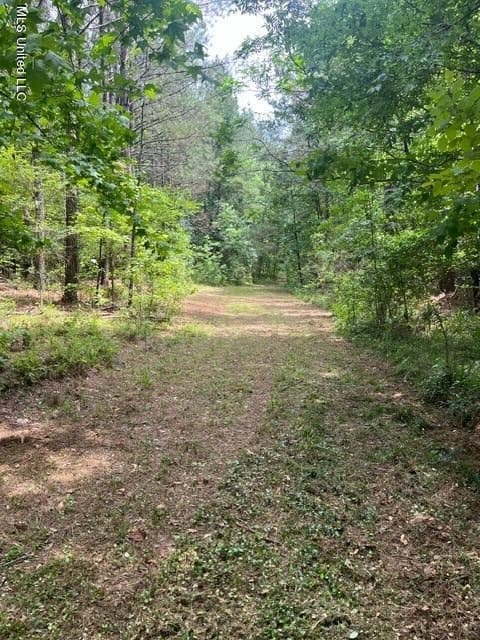 10 Acre Homesite in Hinds County