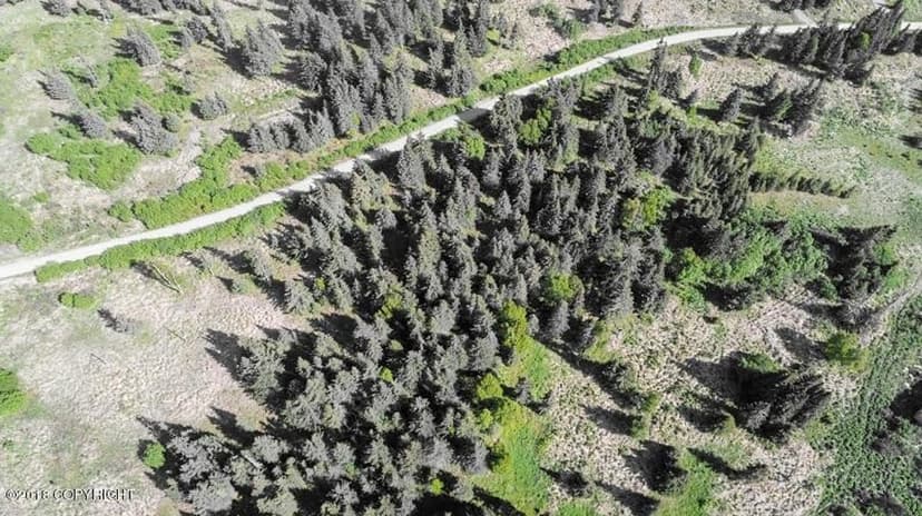 2 Undeveloped View Lots Totaling 2.48 Acres in Ninilchik, AK