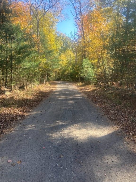 0 White Ct (lot 3 - Left Side)