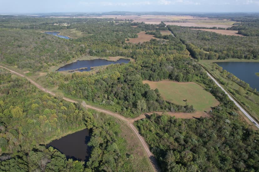 Trophy Deer Hunting Property in Gallatin County, IL