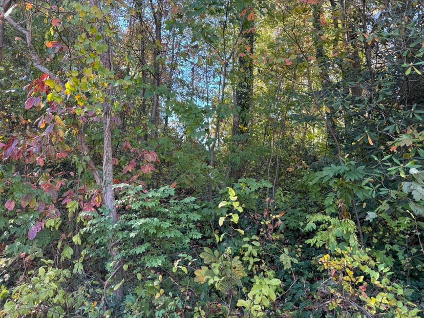 Lots & Land-Other in Hendersonville