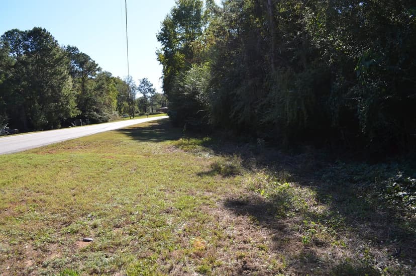 9 Acre Recreational Tract or Homesite Opportunity in Dale County