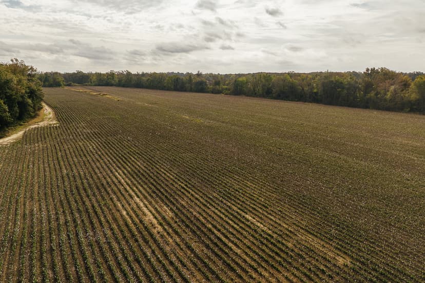 500.64 Acre Farm in Coahoma/Quitman Counties, MS