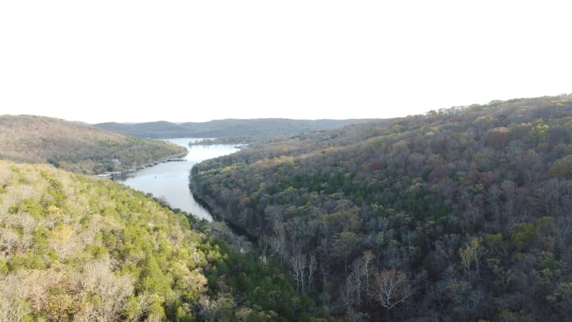 50 Acres of Timberland in Stone County Missouri