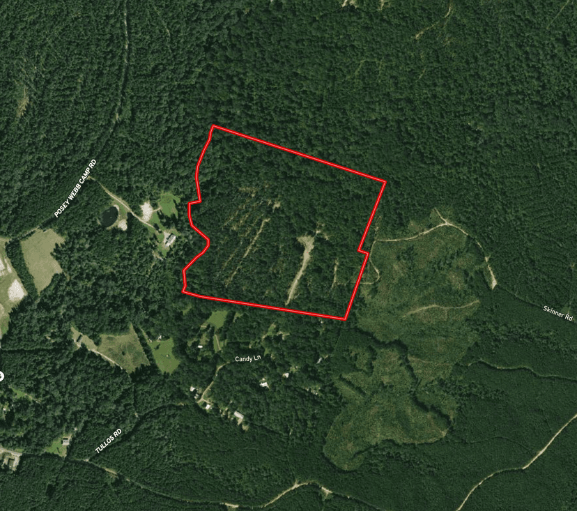 LA - Catahoula 65 acres +/-