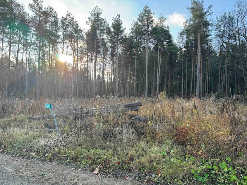 4.7 acre Building Lot and Recreational Land near Bush Hill State Forest in Franklinville NY 837 Palmer Rd