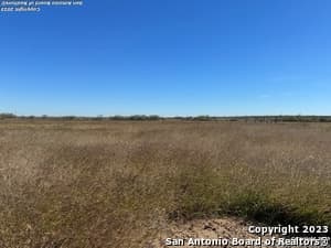 46.65 Acres CR 422 Pleasanton Texas