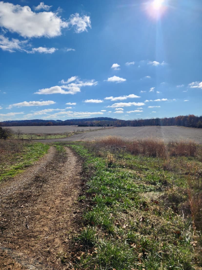 318 ac Highly Tillable With Exceptional Hunting