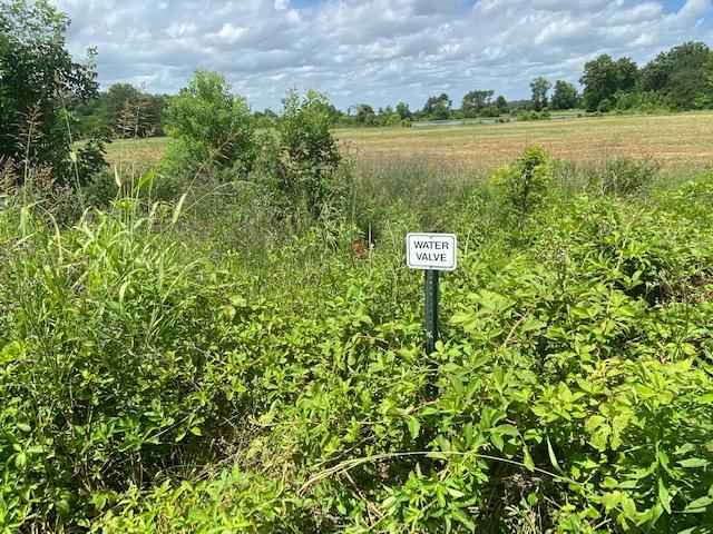 LA - Richland 85 ac +/-