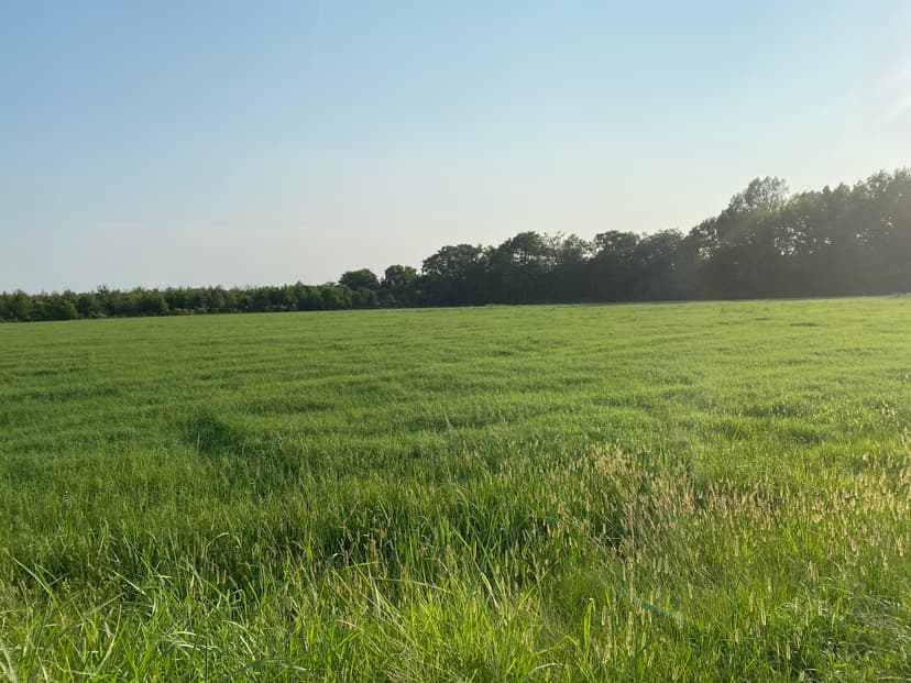 LA - Franklin 7.5 acres +-