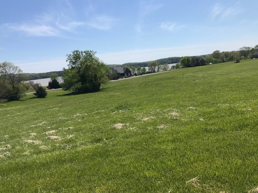 Cleared Lot for Sale Online Auction Hawkins County TN