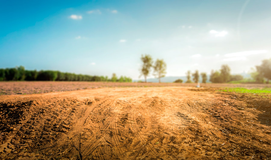 Frequently Asked Question