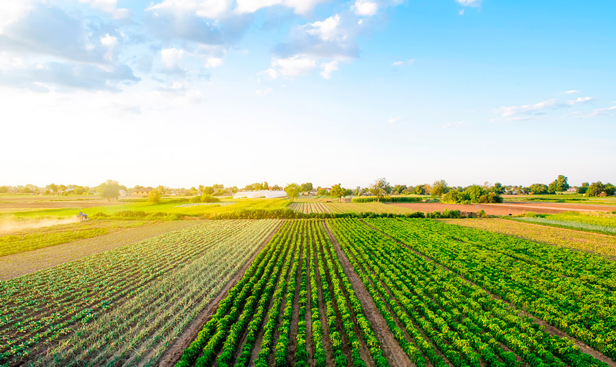 Unlocking the Benefits of Owning Land: A Guide to Investing in Real Estate Unlocking the Benefits of Owning Land: A Guide to Investing in Real Estate