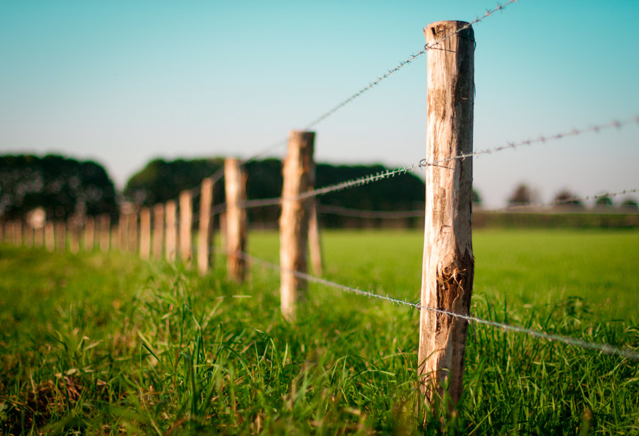 Choose Correct Fence Height