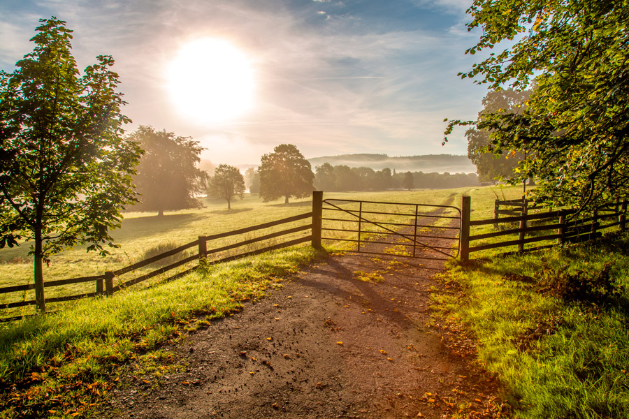 Fine Tune Your Fencing Plan