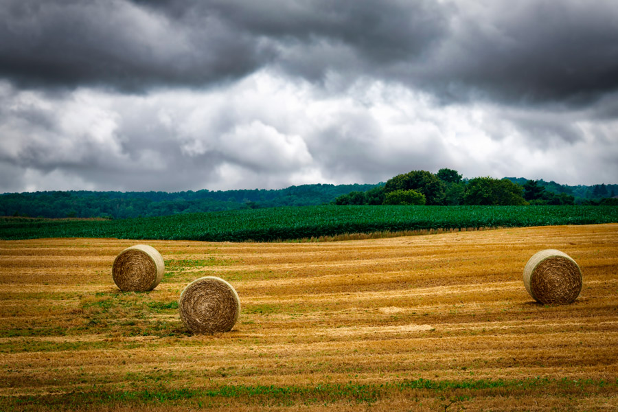 Standard Steps for Searching Land