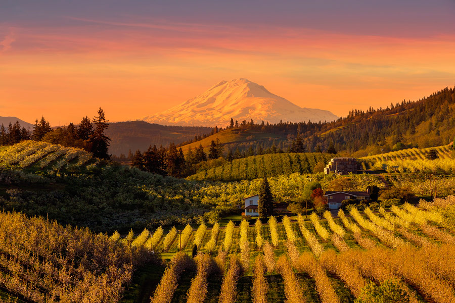 Top 10 Reasons to Buy Land in Oregon Top 10 Reasons to Buy Land in Oregon