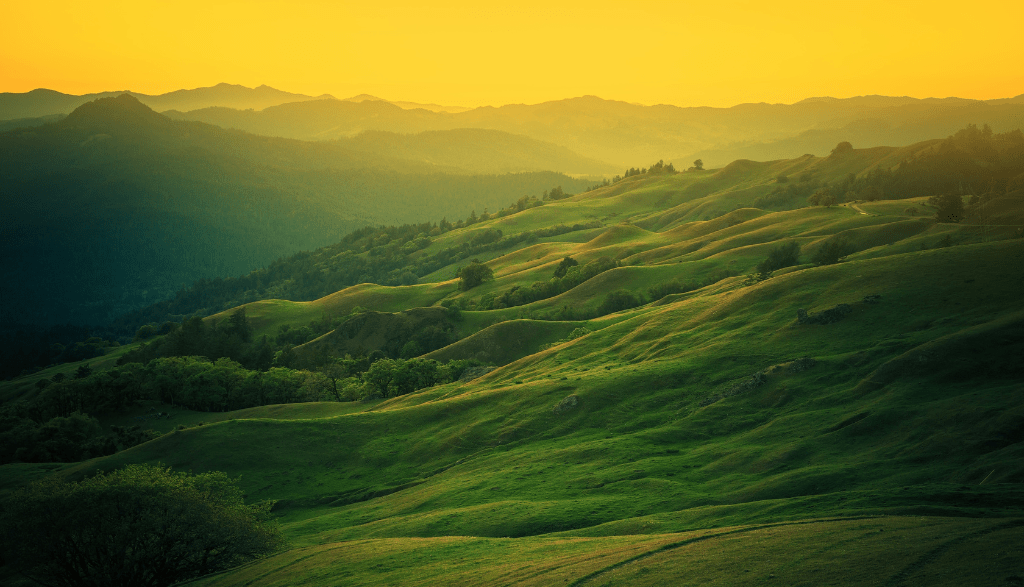 Buy Land In California: The Best Way To Invest In Your Future