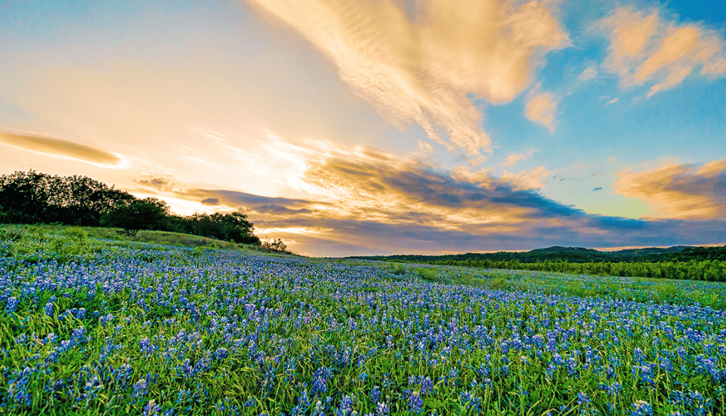 Why You Should Buy Land in Texas: 10 Reasons to Make the Lone Star State Your Home
