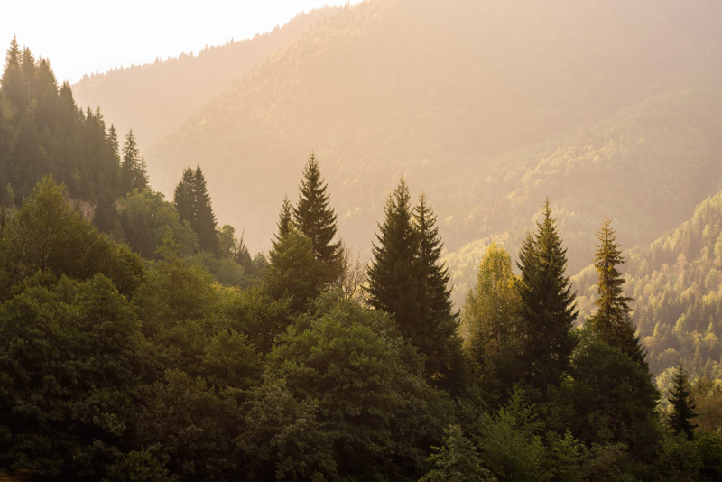 Opportunities for Outdoor Recreation