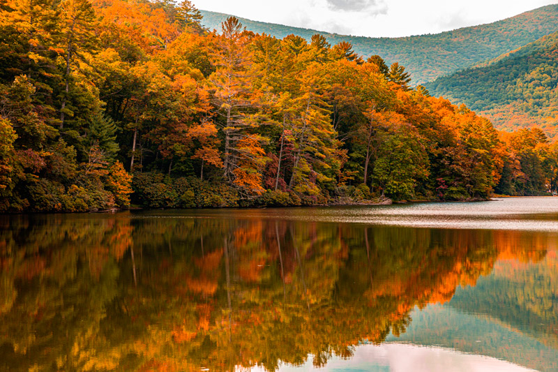 Top 10 Reasons to Invest in Land in Georgia Top 10 Reasons to Invest in Land in Georgia