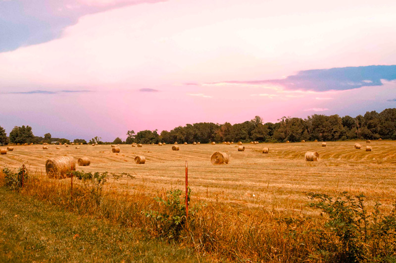 Invest In Alabama Land