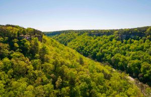 Finding and Financing Alabama Land 