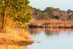 Alabama Land Loan Deal