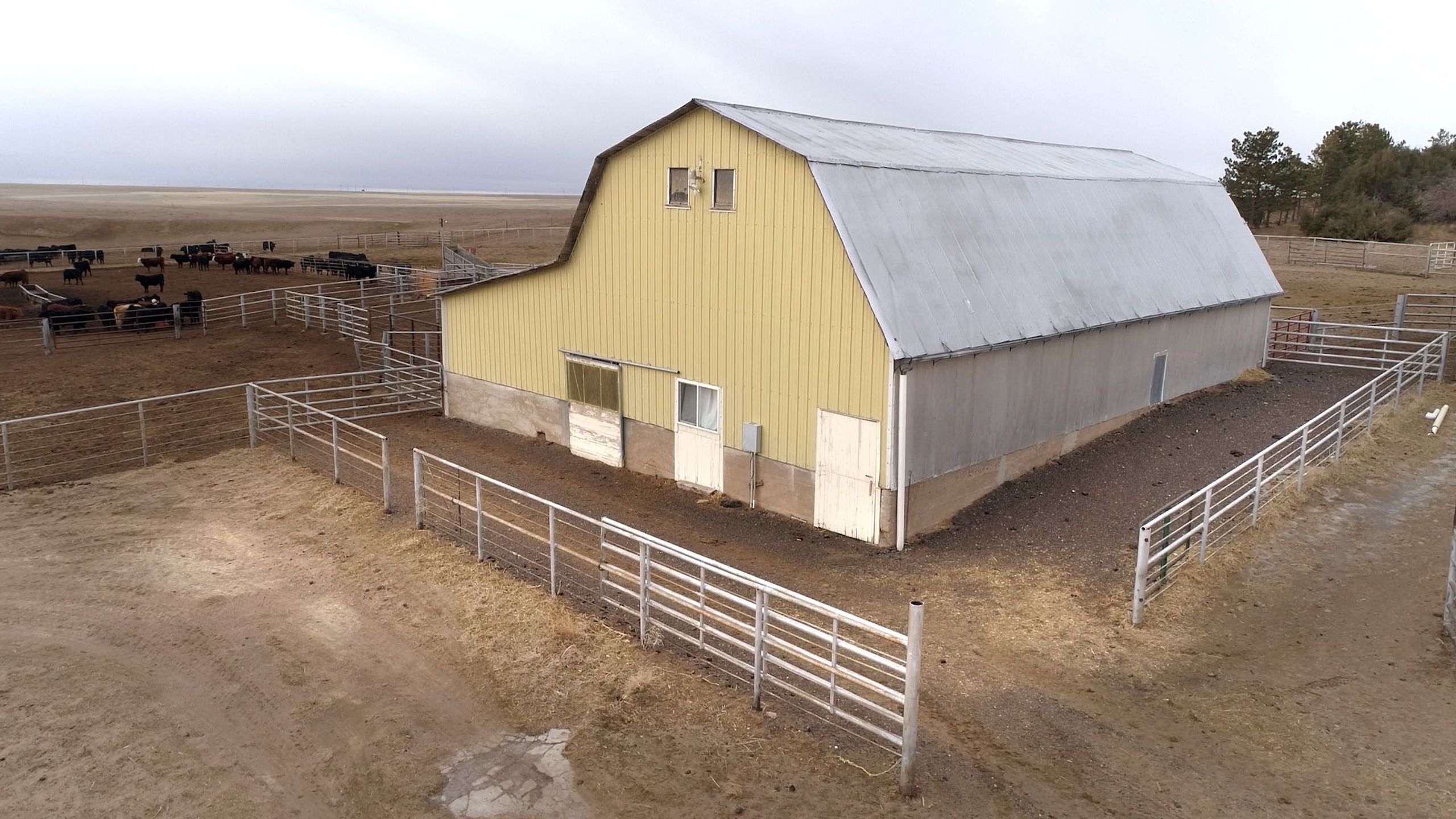 Ranch Headquarters/Cattle Backgrounding Facility In CO